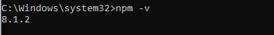 npm version