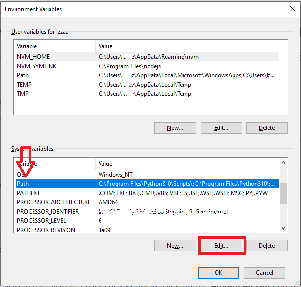 Edit environment variable for npm